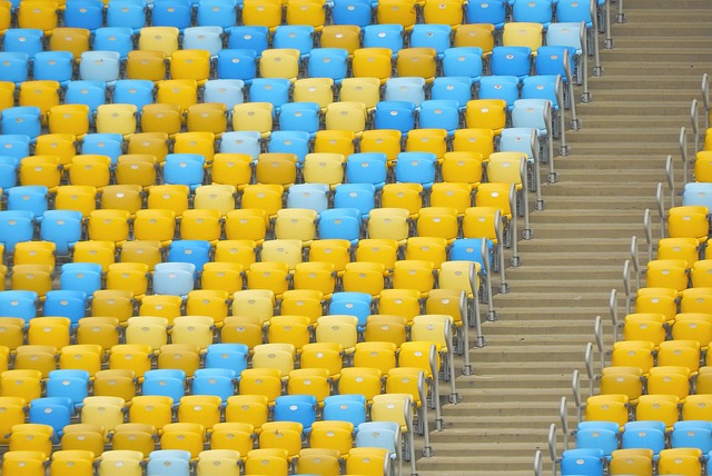 鹿队的明星 鹿队的明星