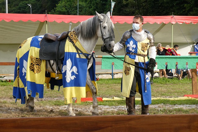 张楠杯不仅 张楠杯不仅