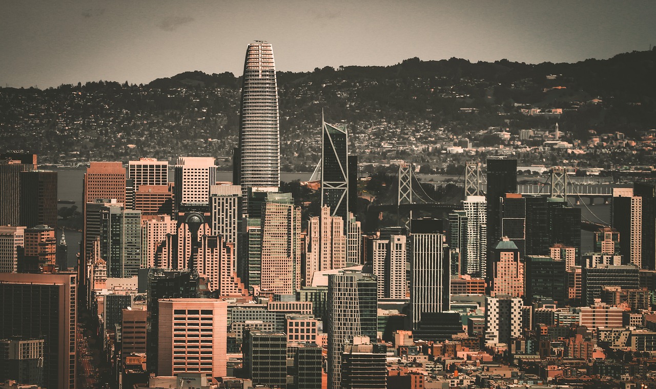 乃至整个足 乃至整个足