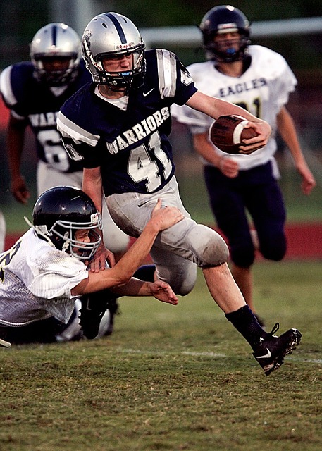 抗风险能力 抗风险能力