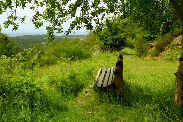 未来发展积 未来发展积